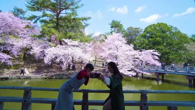 There are many spots to enjoy taking photos for sharing on social media.