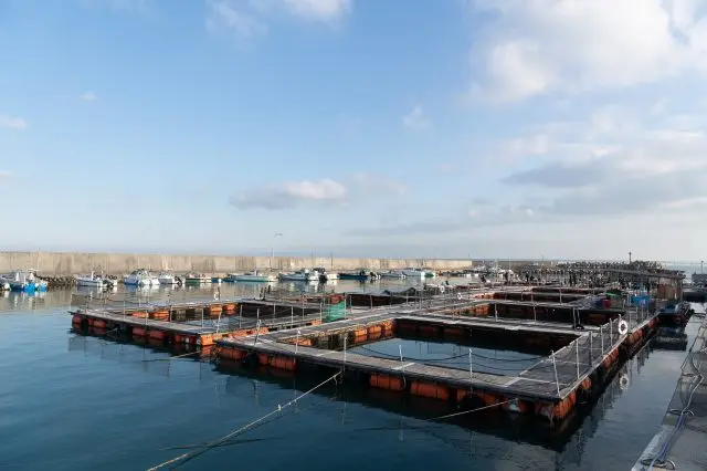 海上に浮かぶ釣り堀。清掃が行き届いています。