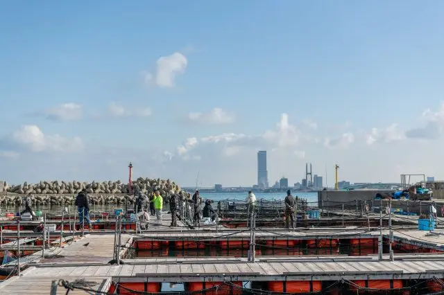 向こう岸には、陸橋や高層ビルが並ぶ都会の景色も。