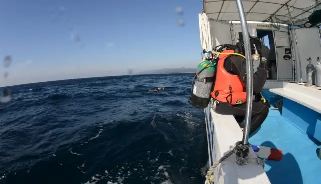 ボートからは後ろ向きで入水。