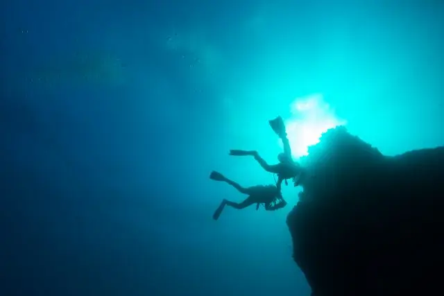 ボートダイビングでは、約1時間の海中散歩が楽しめます。