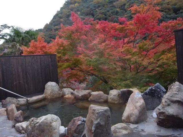 川のせせらぎの音も心地いい露天風呂。
