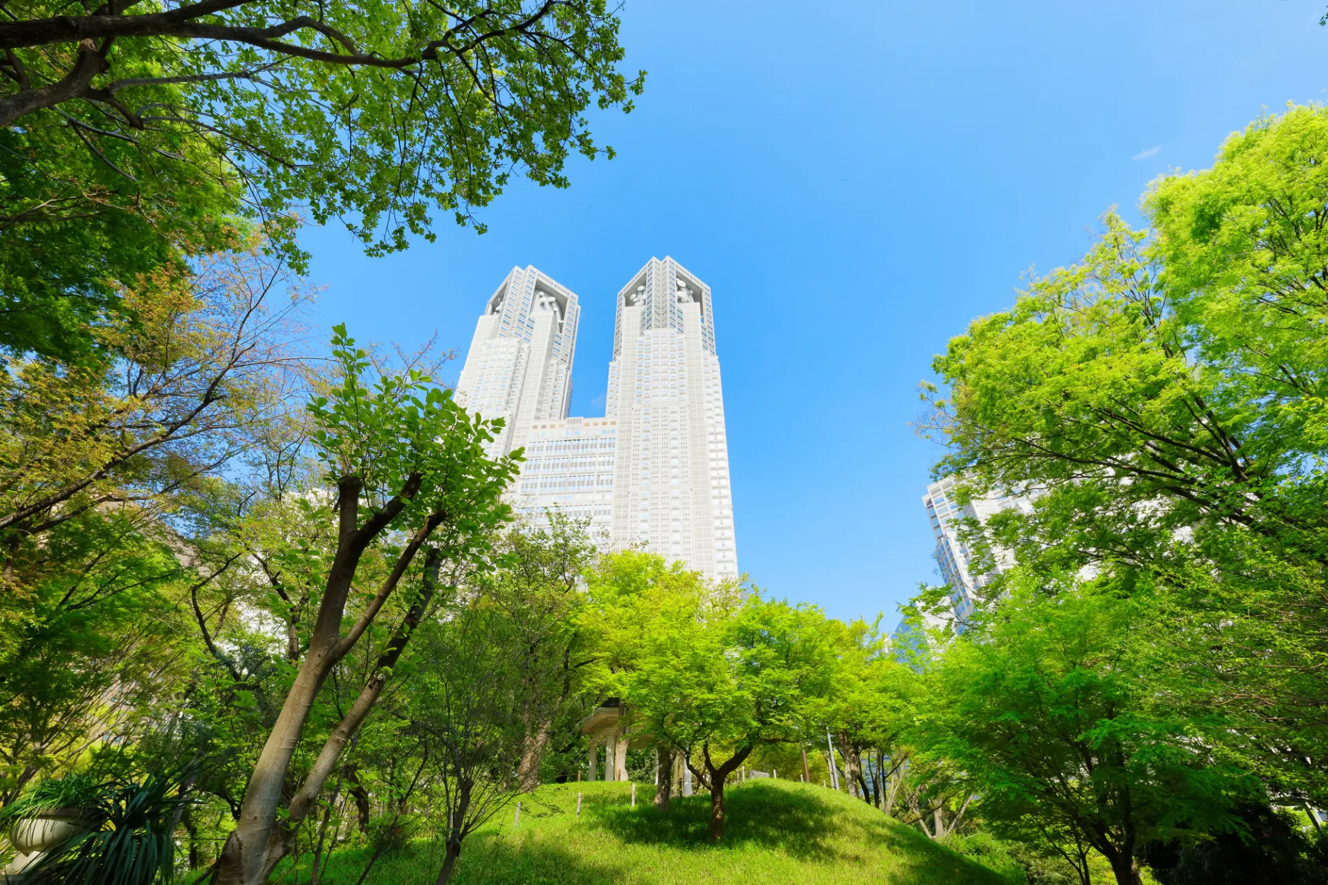 高層ビル群の中にある、緑豊かな公園