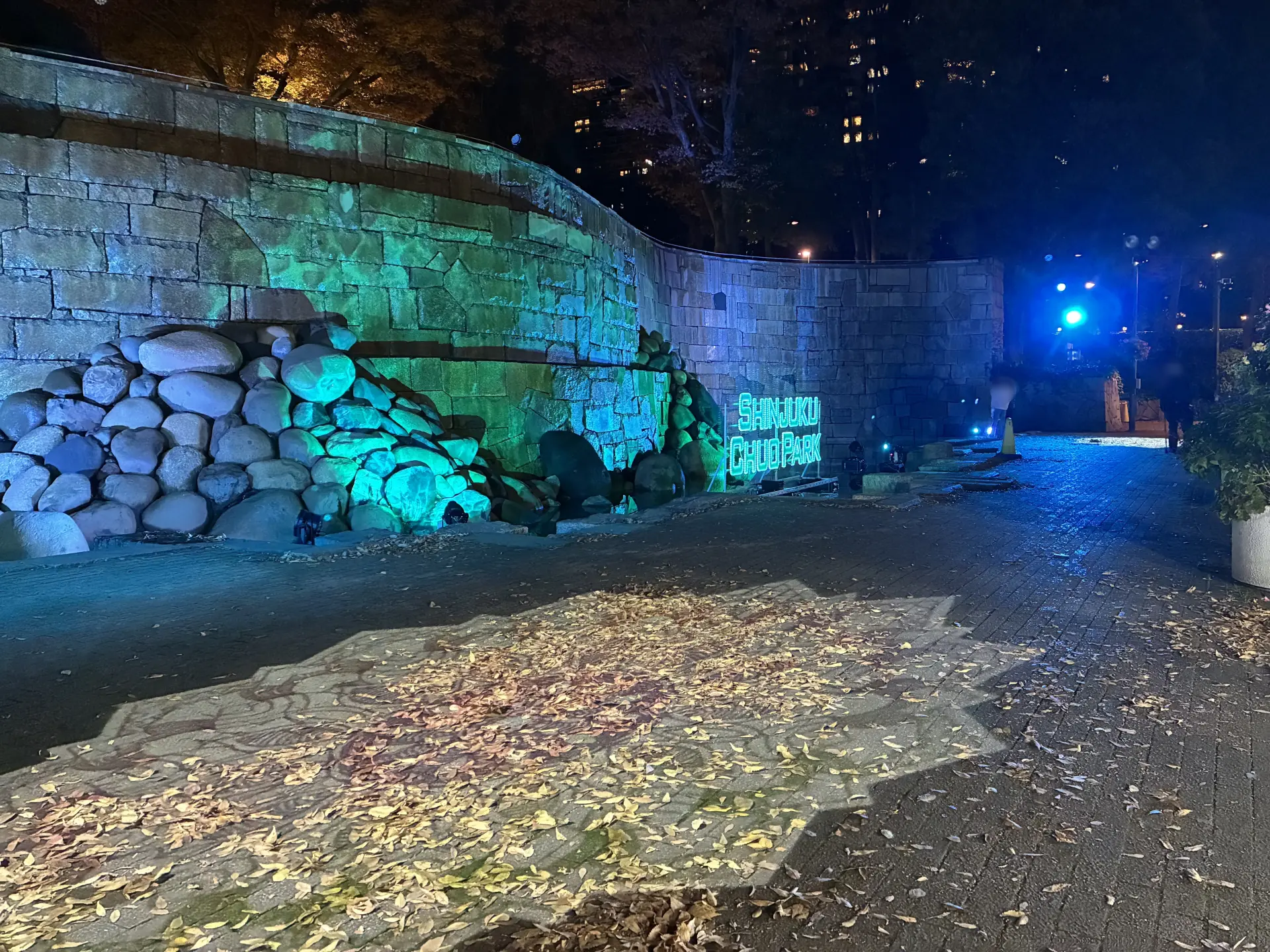 新宿中央公園が幻想的な景色へと変わるイルミネーションイベント