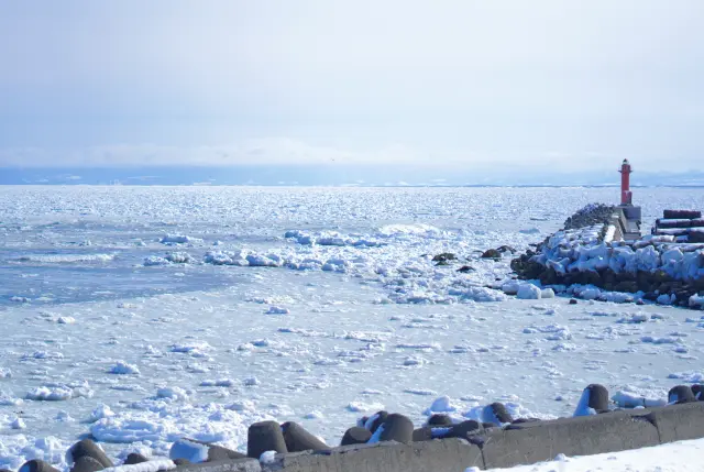 遠從千里之外漂來的流冰