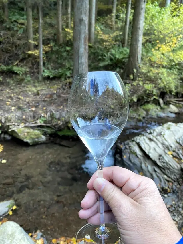 柔らかい口当たりでとても飲みやすいです。周囲の美しい自然と相まって、美味しさひときわ！
さらには、源流の水をグラスにすくって水の美味しさも体験。
