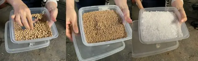 Ingredients to make Japanese soy sauce. From the left to right: soybean, wheat, salt