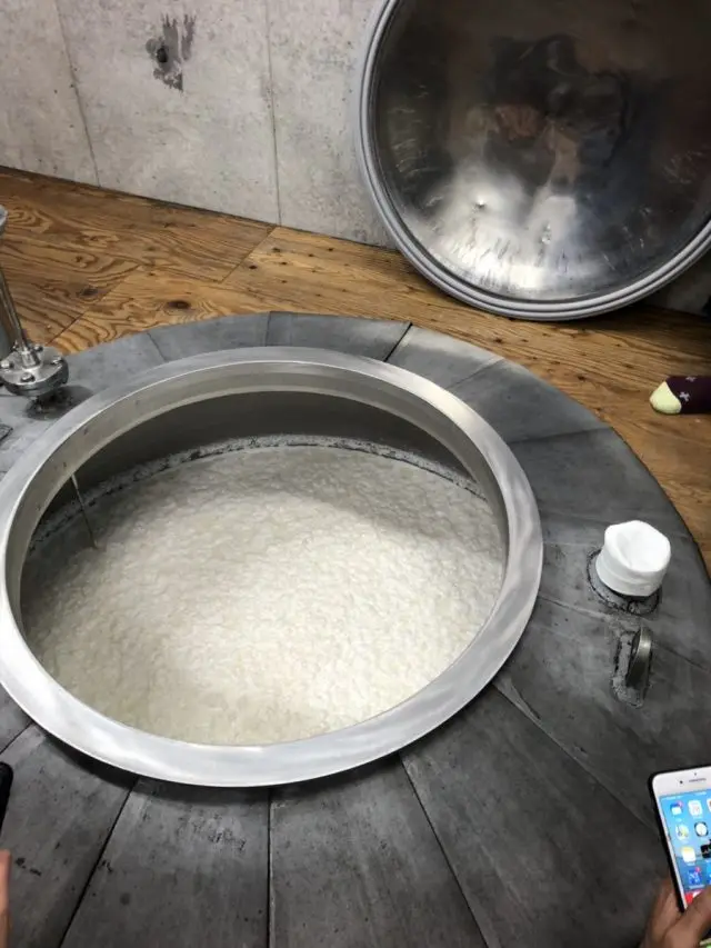 Processing of saccharification and fermentation of MOROMI (main mash)