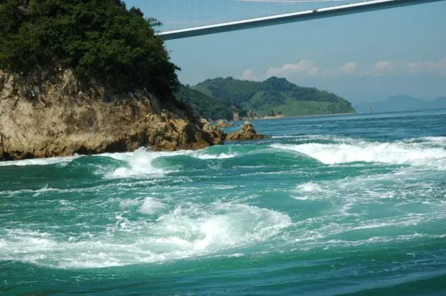 【来島海峡急流観潮船】迫力の潮流に歴史、造船も！見どころたくさんの観光船