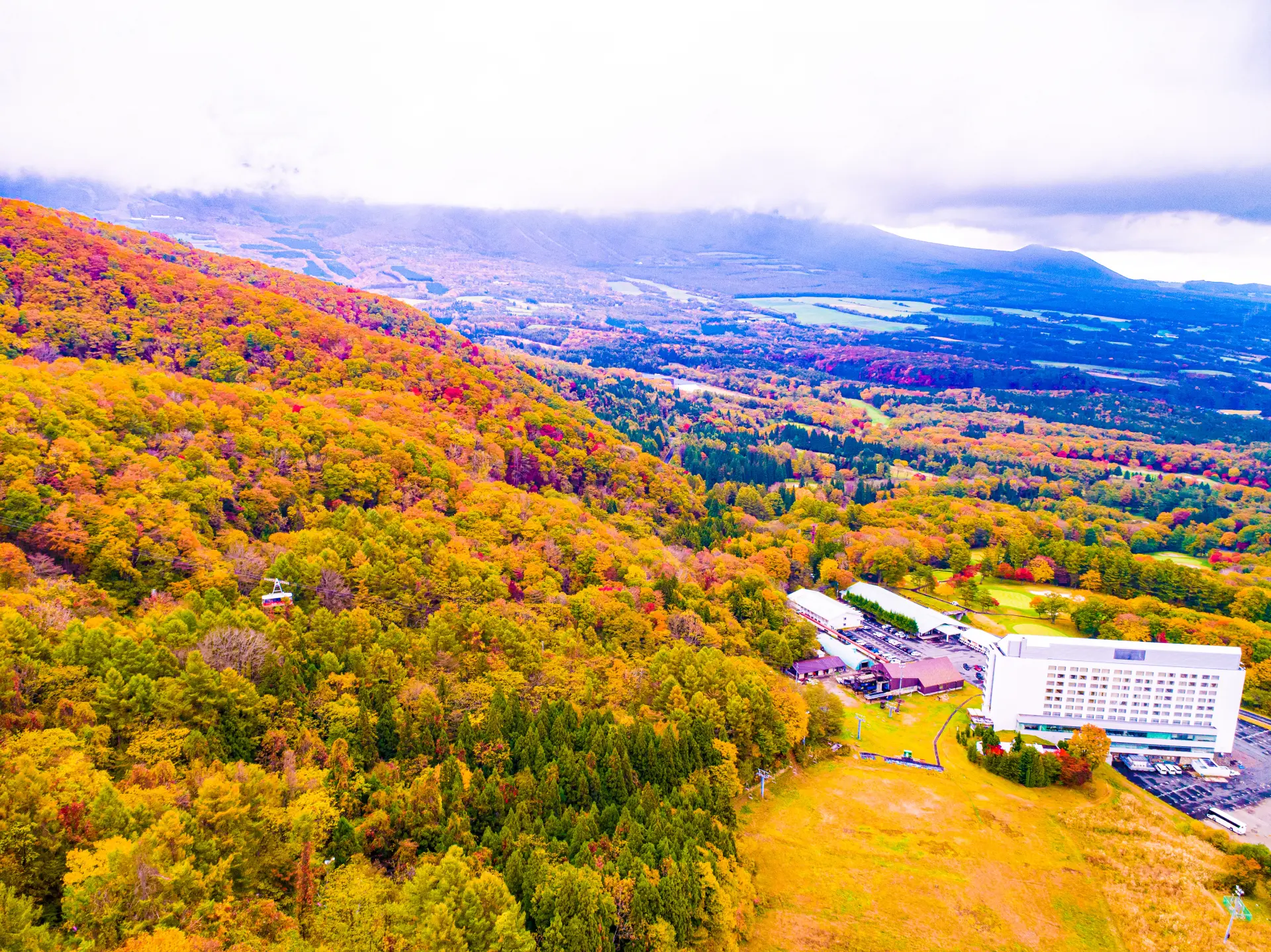 A colorful gradation unfolds below.