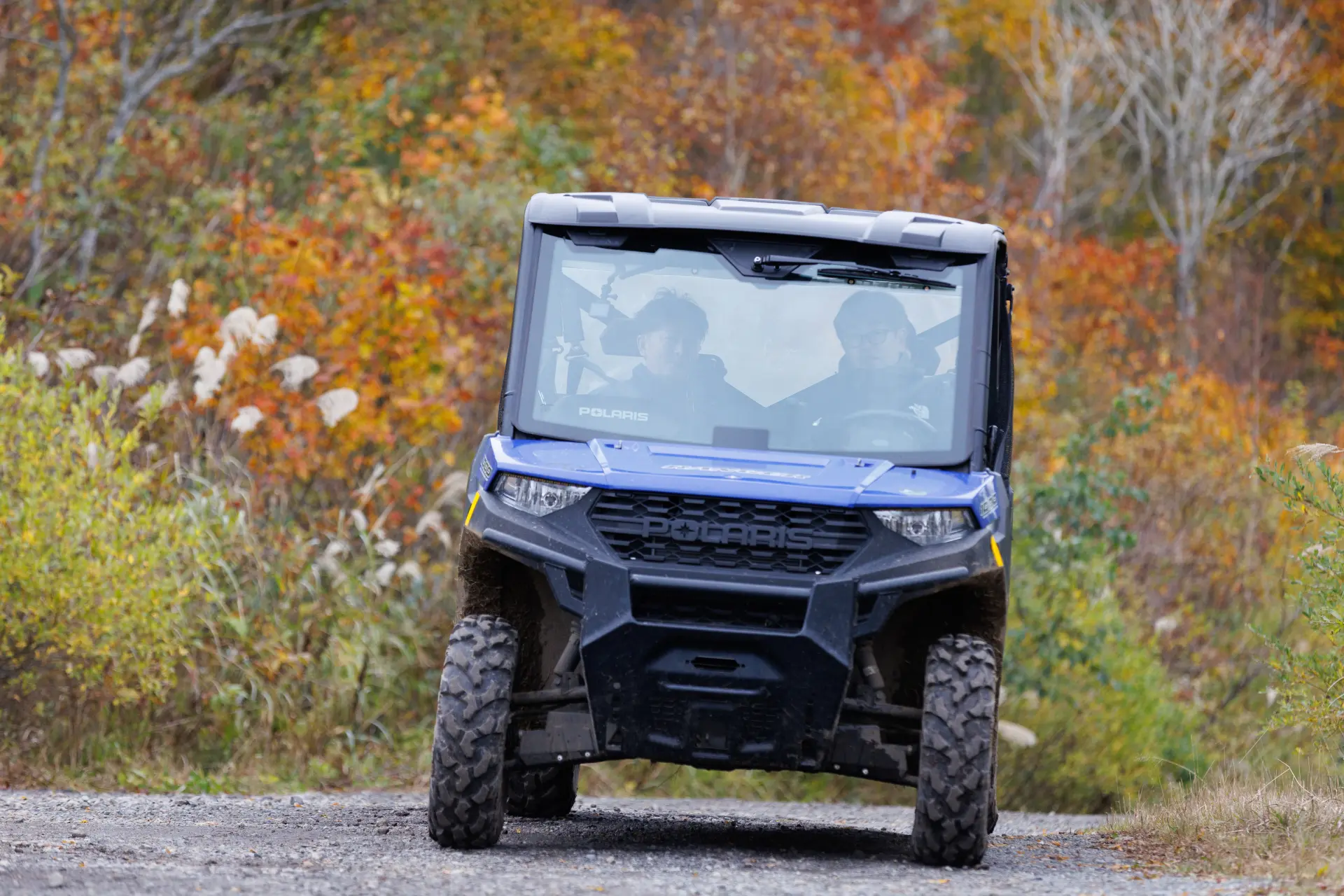 Activities such as buggy rides are also available near the summit station.