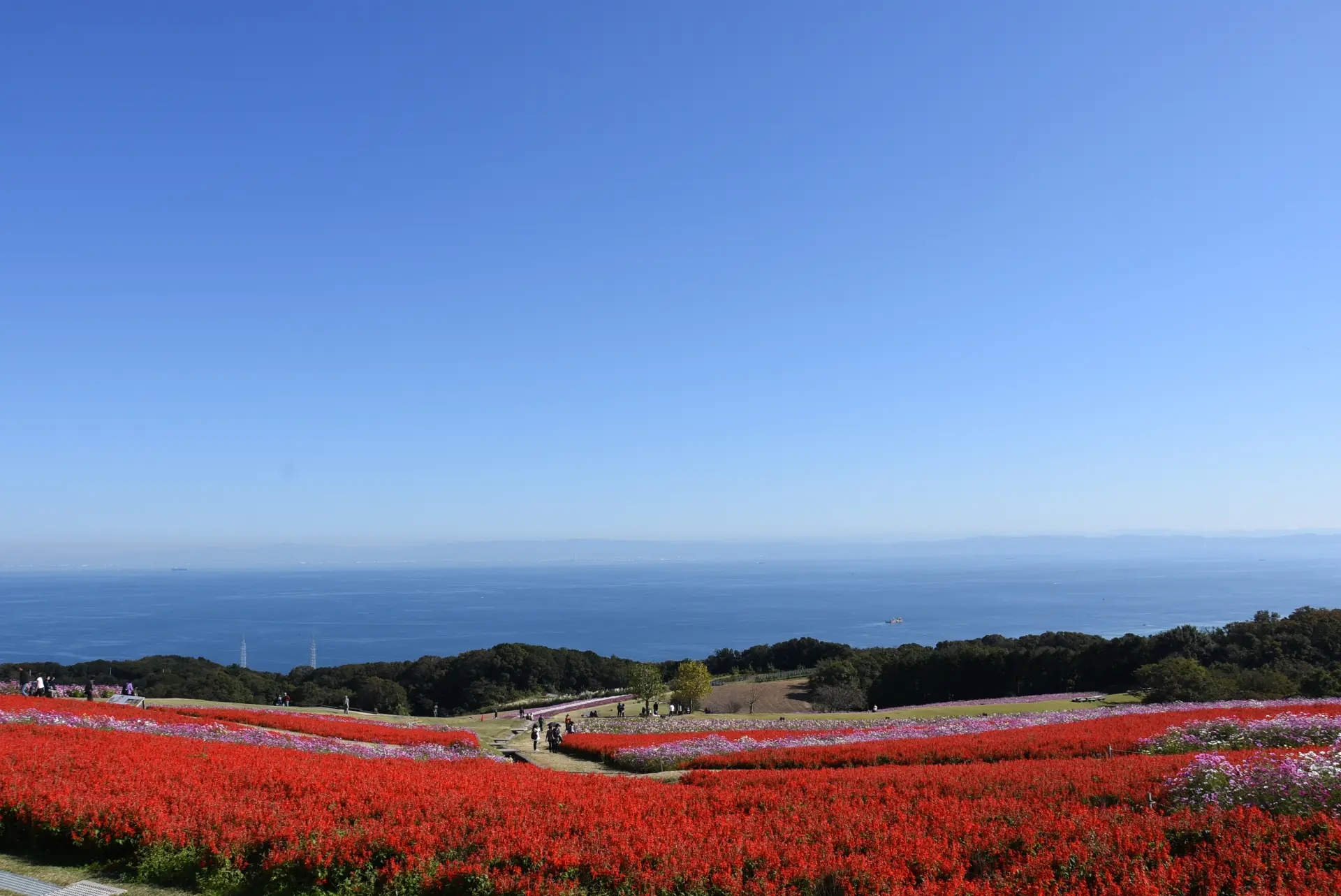 鮮豔花毯的彼方，是一望無際的大全景