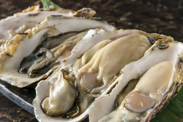 栄養豊富な海で育った広島のカキは絶品
