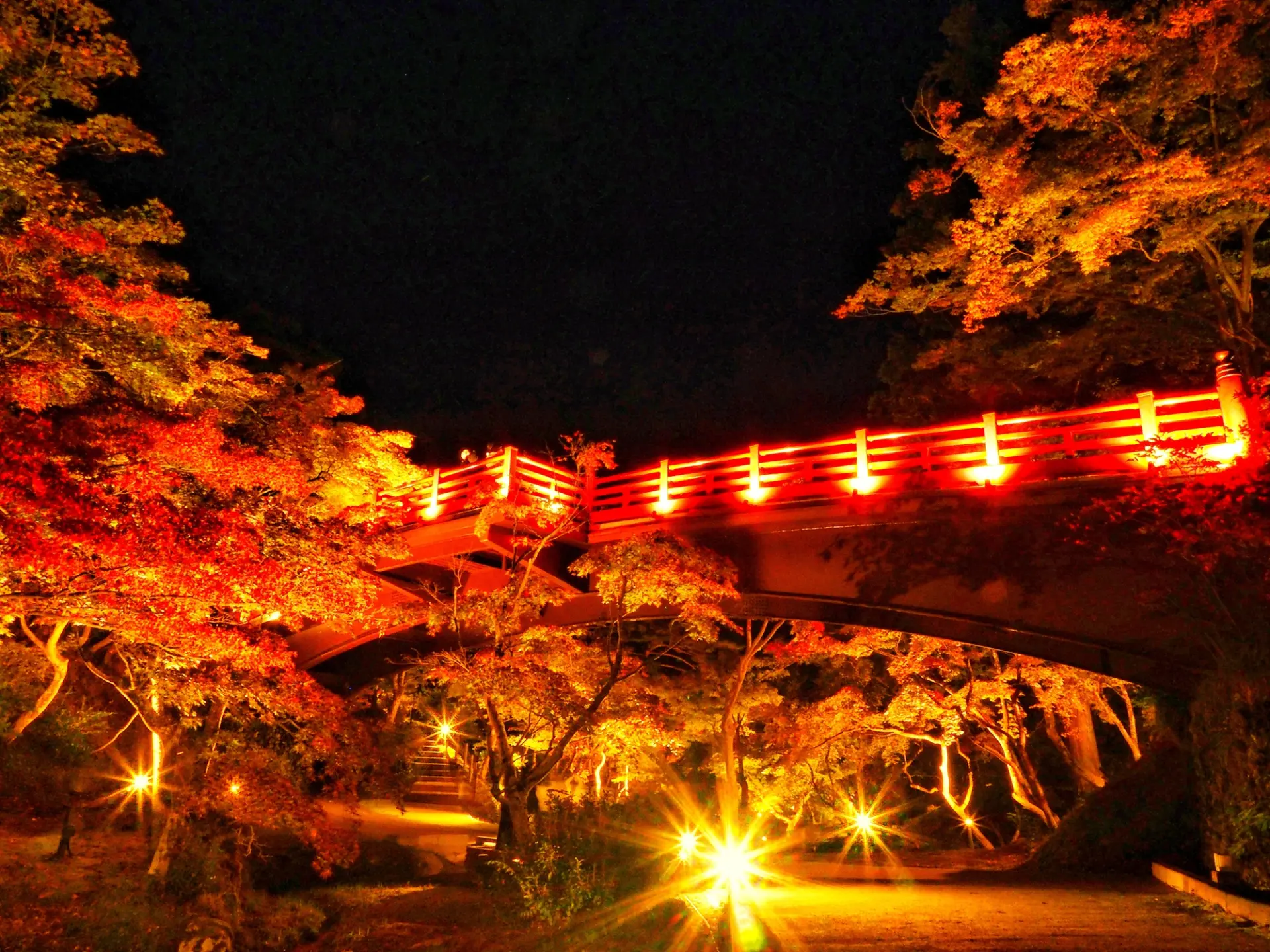 真っ赤な紅葉橋とのコントラストを楽しめる