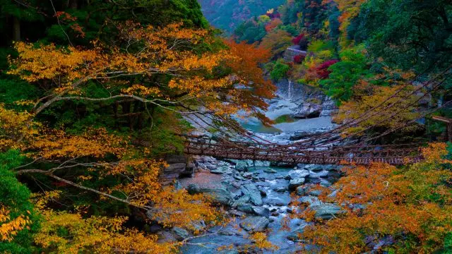 秘境の雰囲気が漂う美しい景観