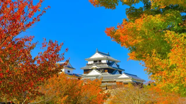 松山観光完全ガイド！定番スポットから穴場、グルメからお土産まで