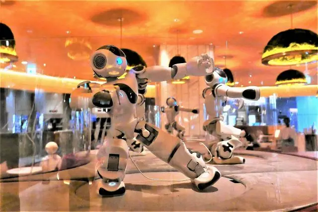 ロボットと過ごす未来を体感できるカフェを、ぜひチェックしてみて。