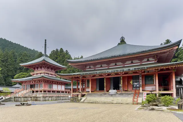 The sight of Amida-do, dedicated to Amida Nyorai (Amitabha Buddha), alongside the Eastern Pagoda is truly impressive.