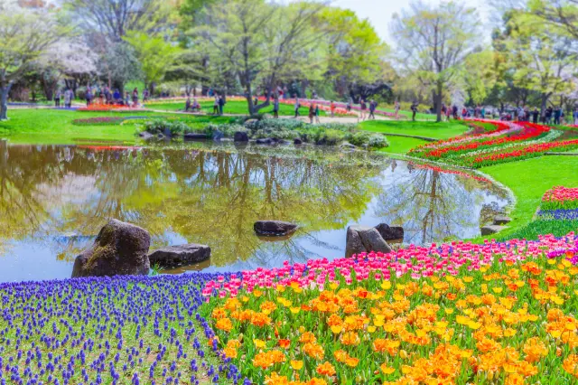 Showa Kinen Park Travel Guide: Enjoy Seasonal Flowers and Nature in Tokyo