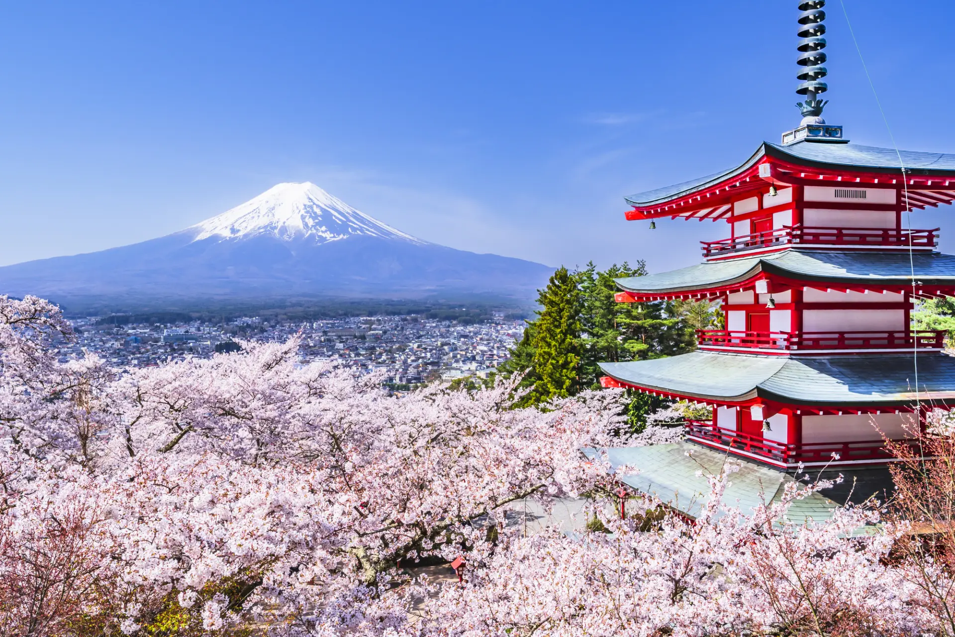 巡遊分散於郊區、地方的觀光景點時也很好用