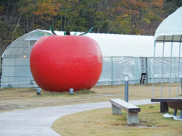 於311震災後成立的「WONDER FARM福島」