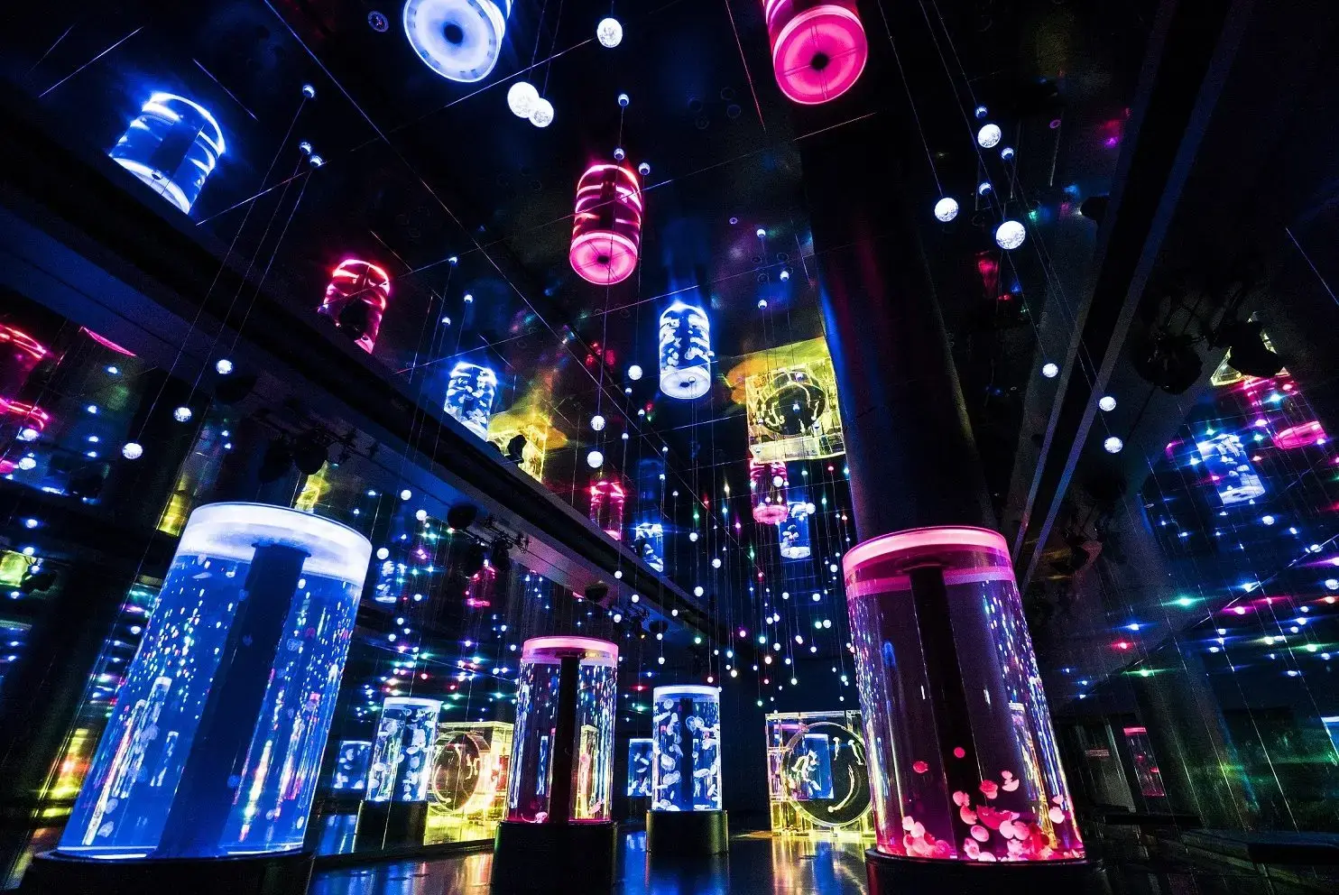 透過音樂、光線和影像的表演,來展現生物魅力的都市型水族館