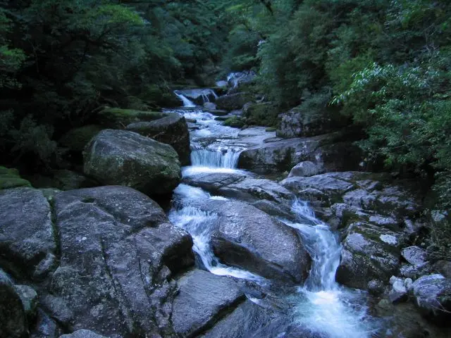 There are more than 140 rivers, some are featured in Japan’s 100 best waters.
