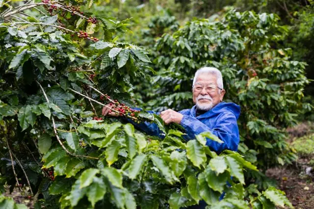 His dream - to become Japan’s best coffee producer. The path to Tokunoshima Coffee Project