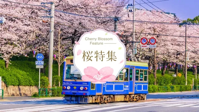 春特集