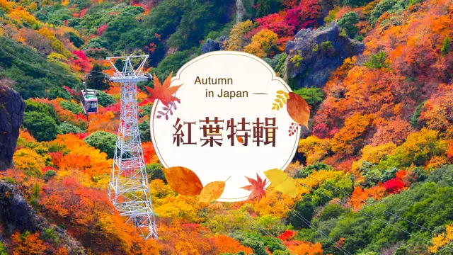 秋季特輯