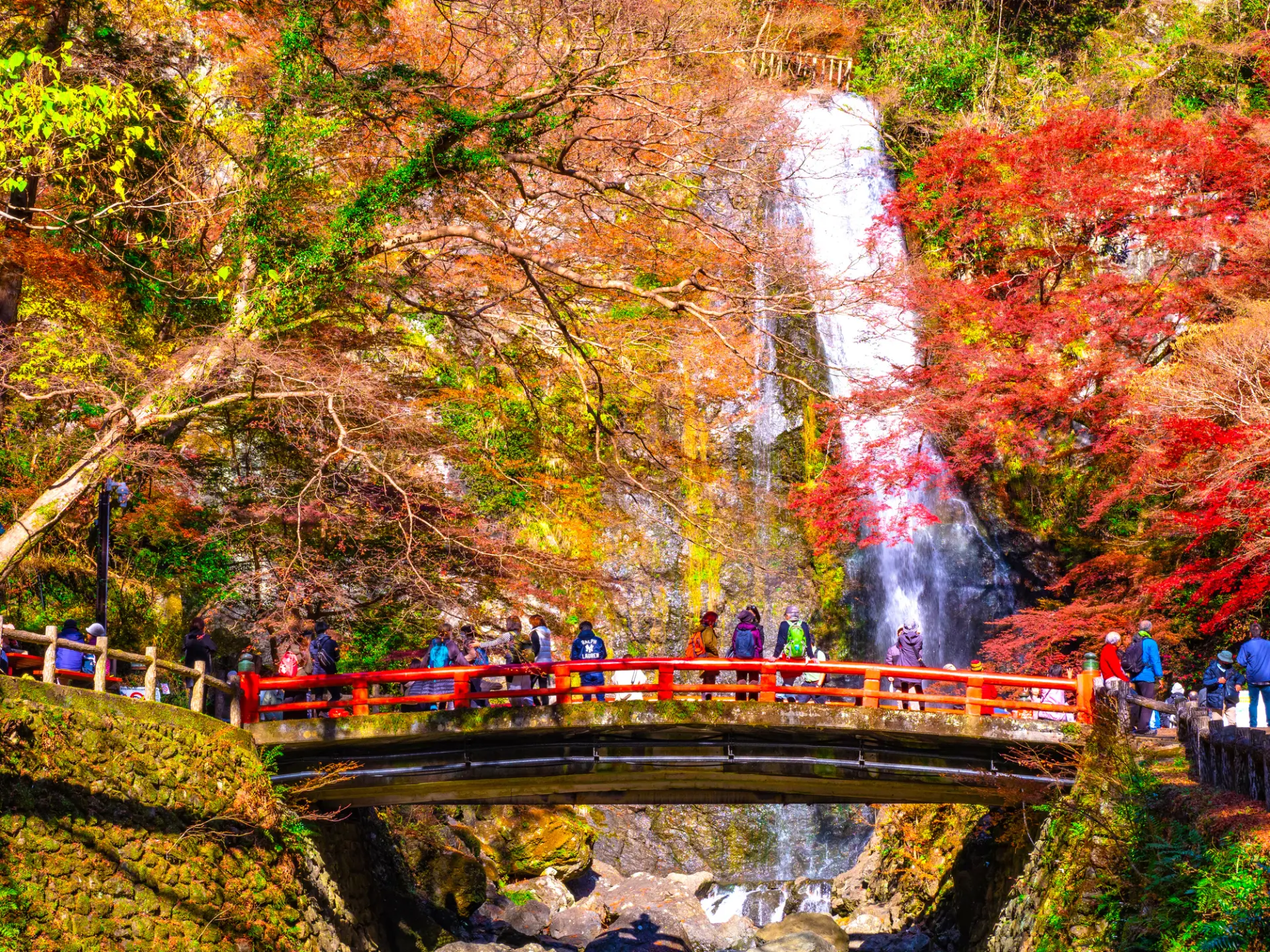 「日本の滝百選」にも選ばれており、紅葉を楽しめるスポットとしても有名