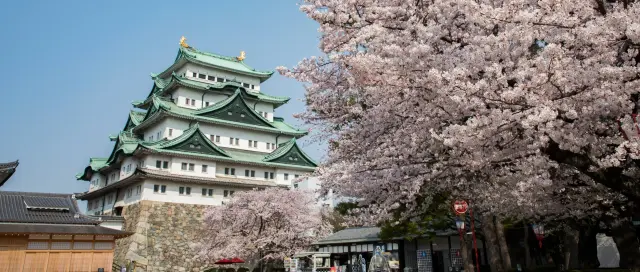 2体の金鯱が光り輝く天守閣と、障壁画に彩られた荘厳な本丸御殿