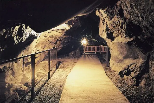 Let's get the most out of “eno=pass”! Discover the traditions of Enoshima, an island rich in history.