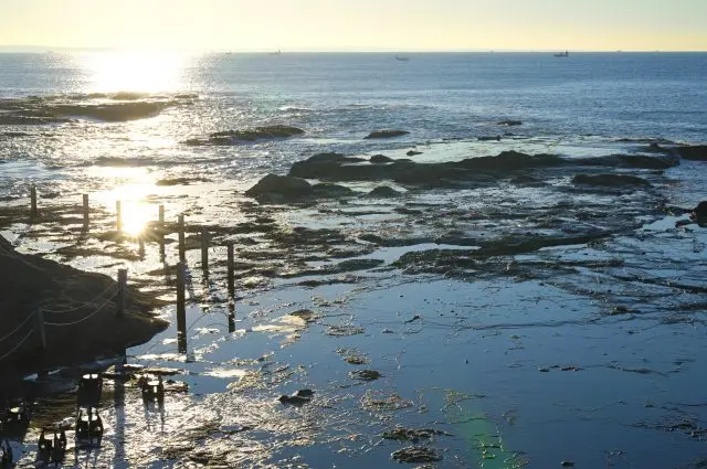 Enoshima is best in the morning! Bonuses, Flavors, and more available only for early birds!