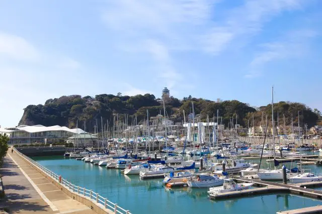 An atmosphere is filled with openness making you feel like a holiday resort of a tropical place.