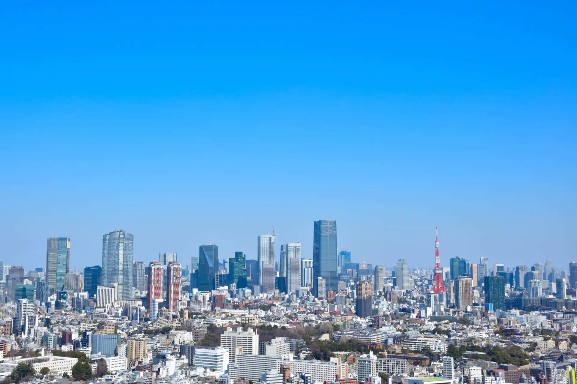 高層ビル群が密集して立ち並ぶ東京の街並み