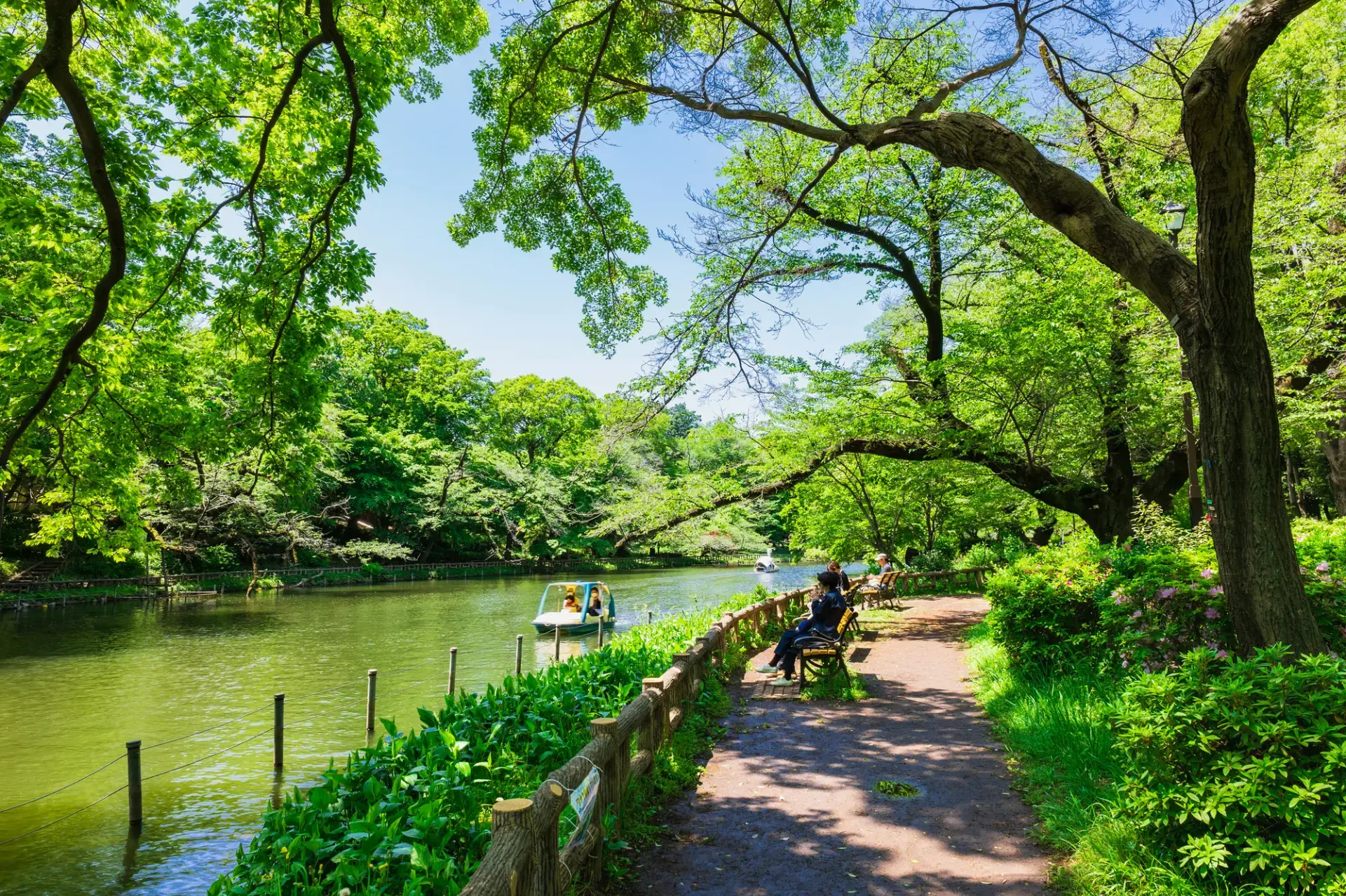 都会の喧騒を忘れる緑のオアシス「井の頭恩賜公園」