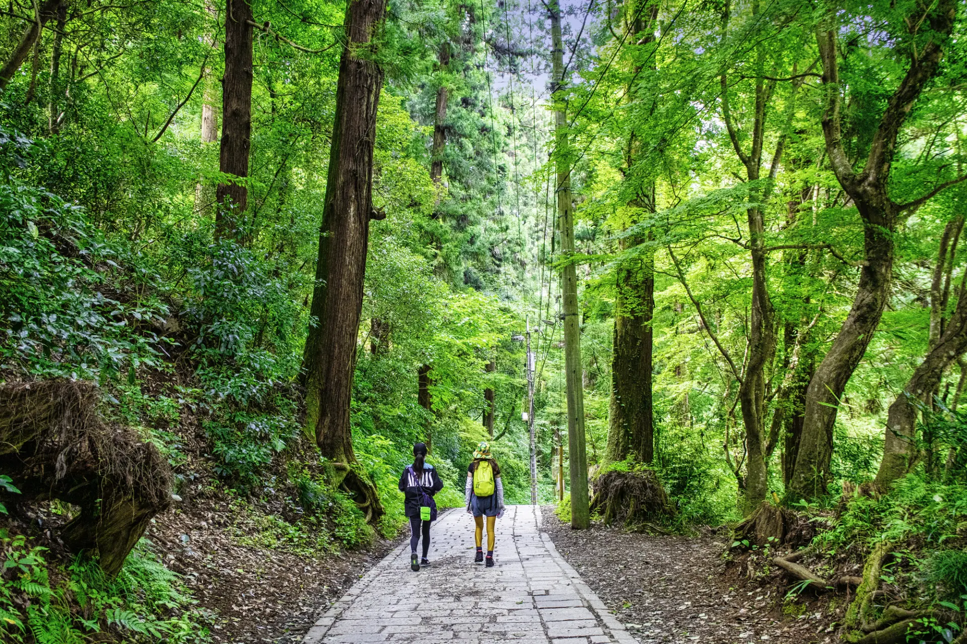 動きやすい服装にスニーカーであれば、初心者でも安全に登山できる
