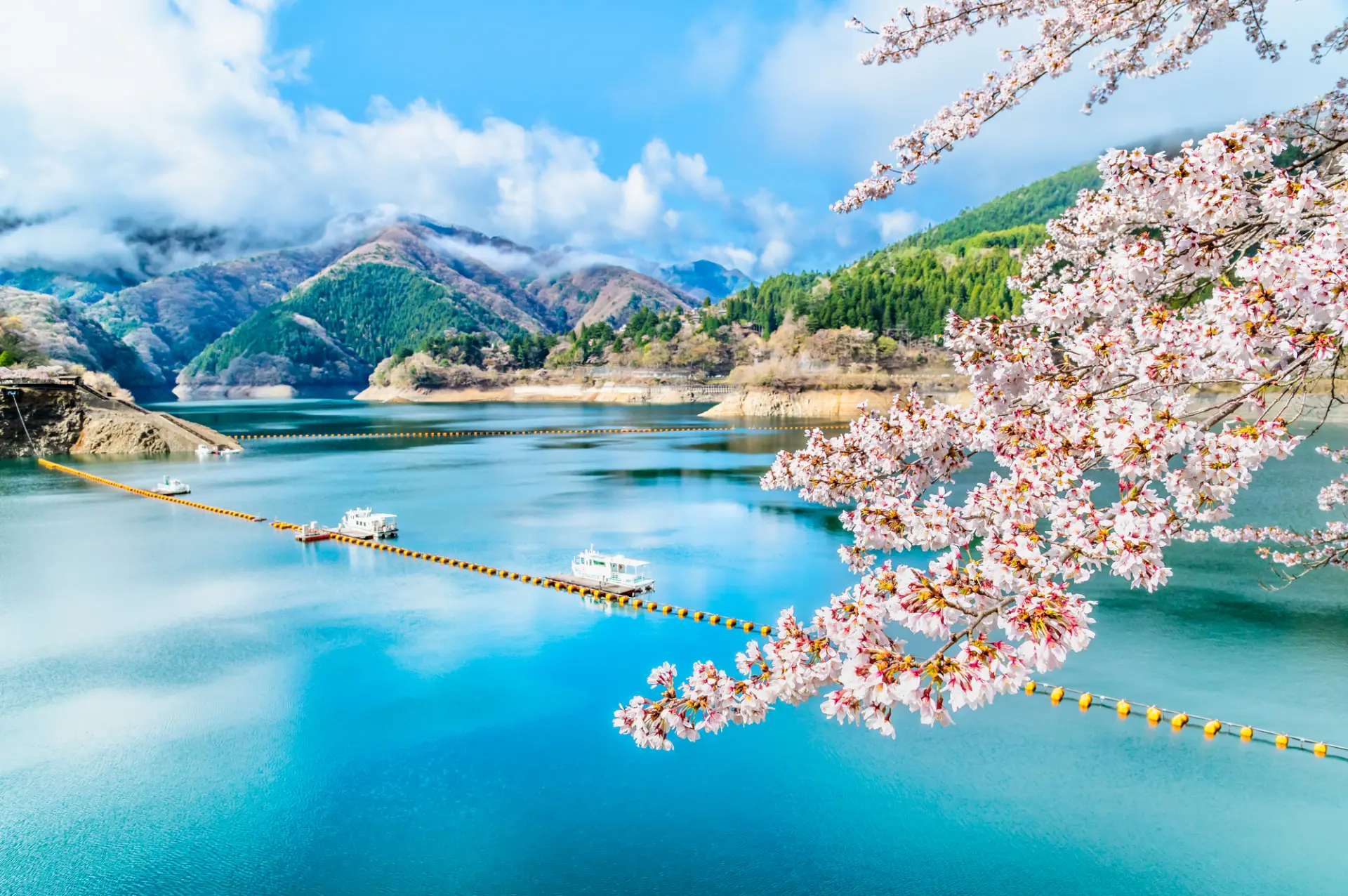四季折々の美しい自然風景が広がる「奥多摩湖」