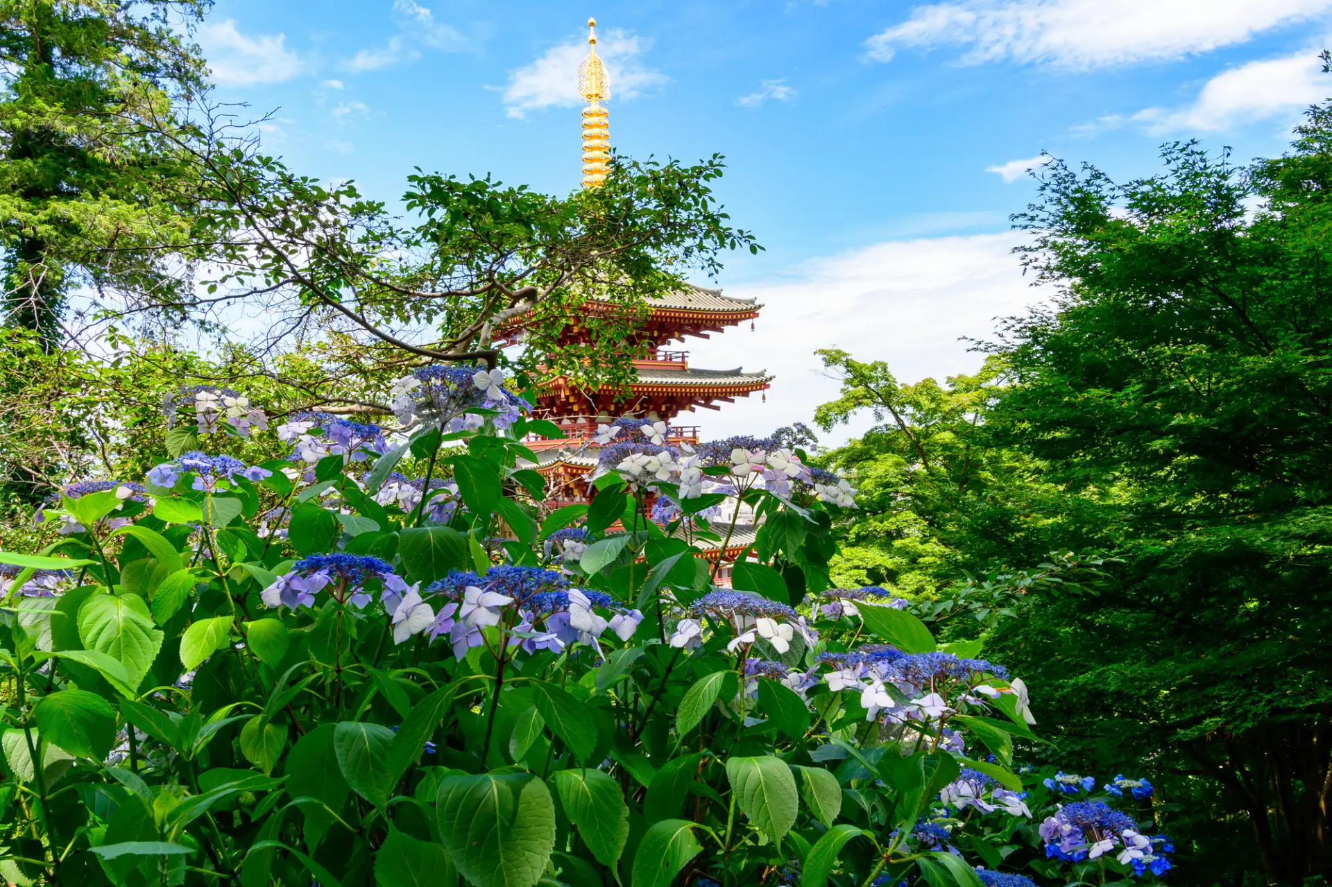 交通安全祈願の本山と新選組土方歳三の菩提寺「高幡不動尊」