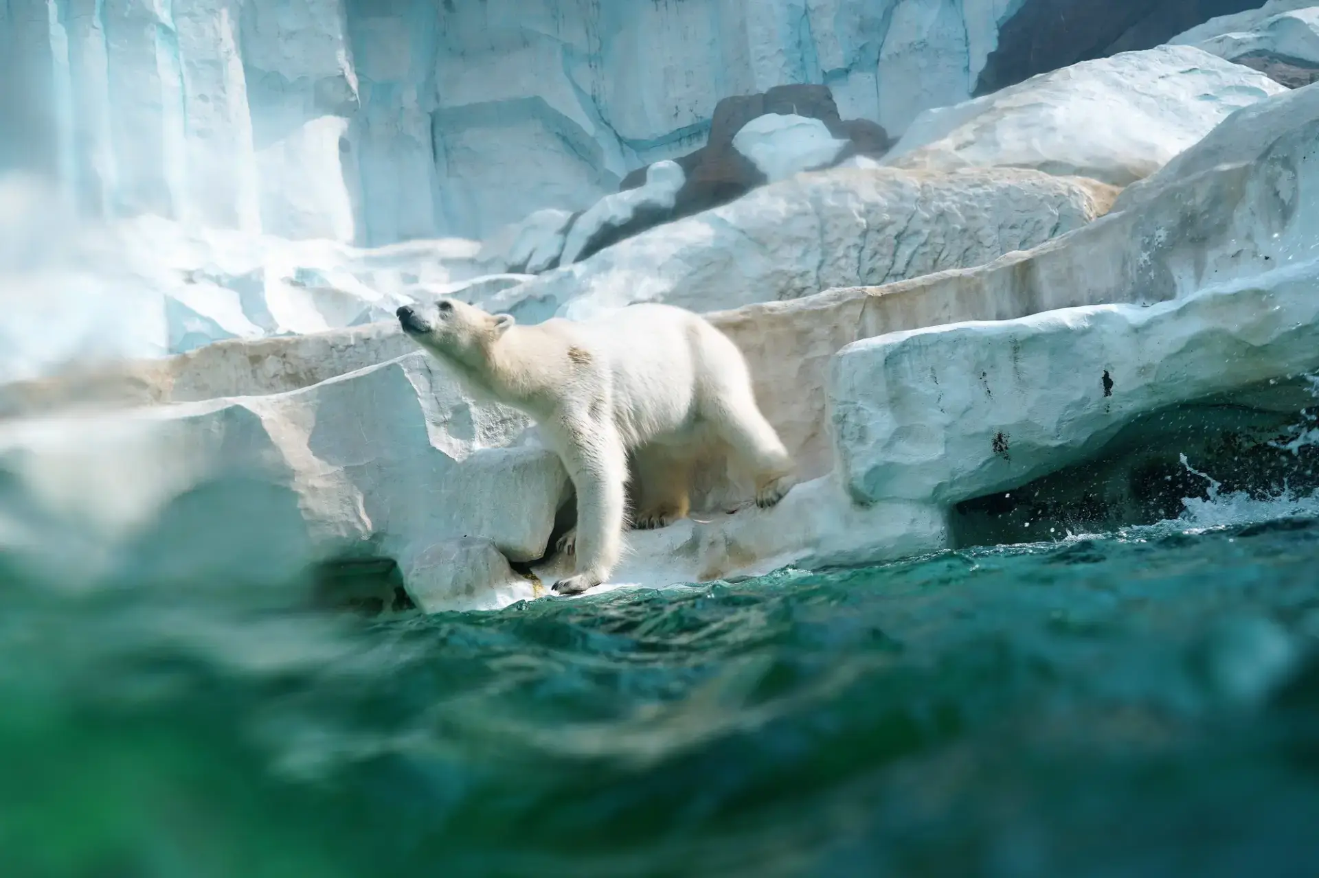 日本で初めて誕生した、日本を代表する歴史ある動物園