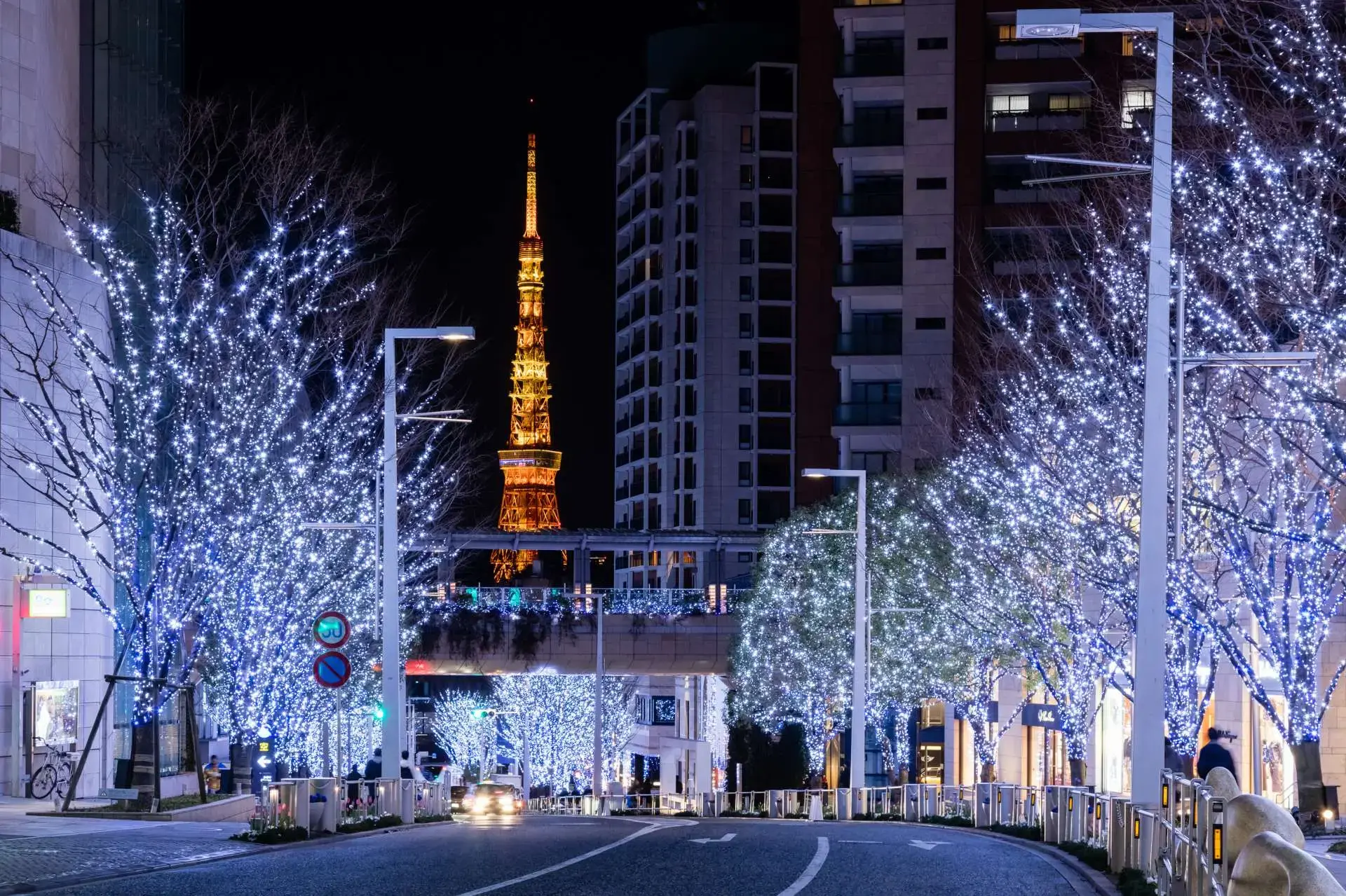 約80万灯ものLEDが輝き、白銀の世界を思わせる幻想空間