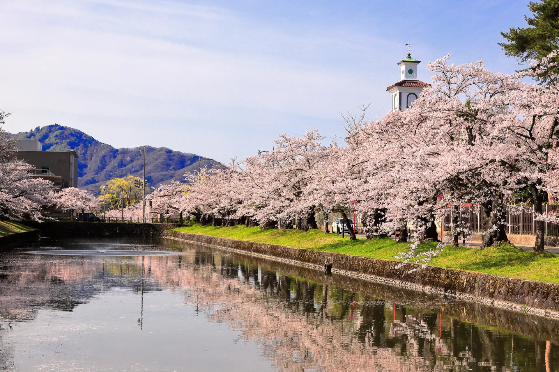 春の訪れを告げる鶴岡公園の桜