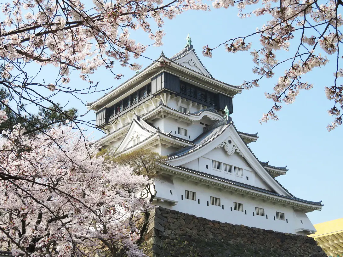 福岡縣唯一擁有天守閣的城堡,同時以賞櫻景點而知名