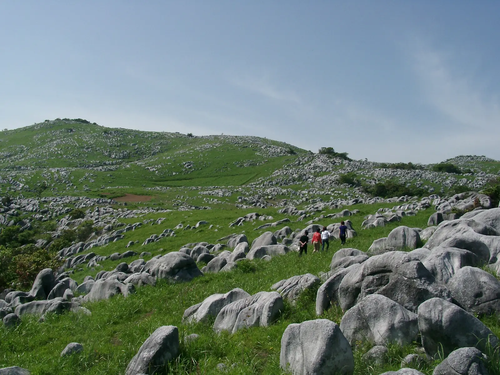 散佈在喀斯特高原上的石灰岩,看起來就像羊群在草地上嬉戲一般