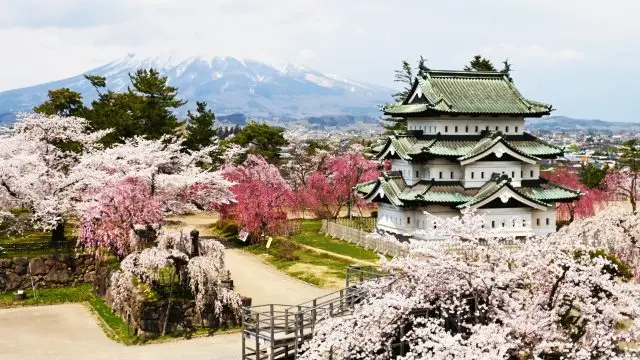 每年4月下旬至5月上旬举办「弘前樱花祭」，弘前城四周有色彩缤纷的樱花环绕
