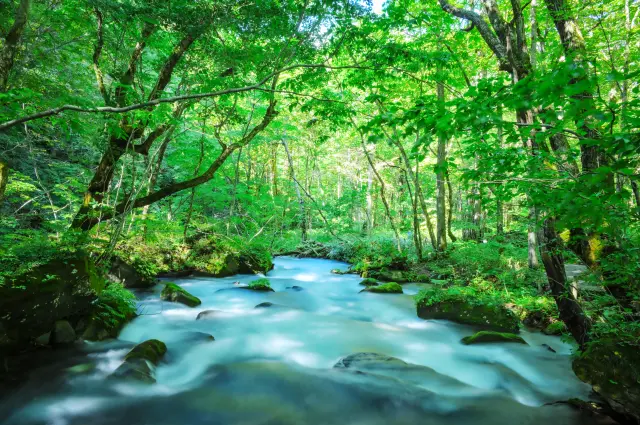 【青森推薦景點】超嚴選！青森必去景點20選