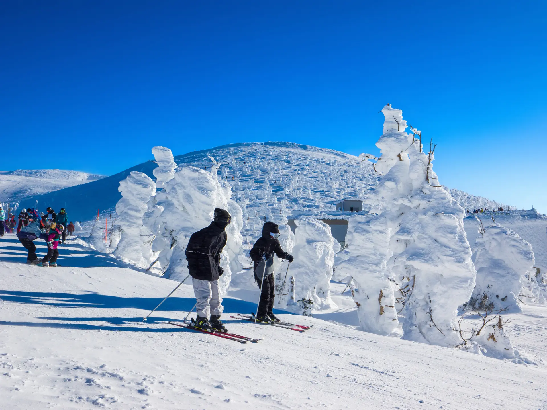 可以邊滑雪邊近距離欣賞藏王樹冰的壯麗風景