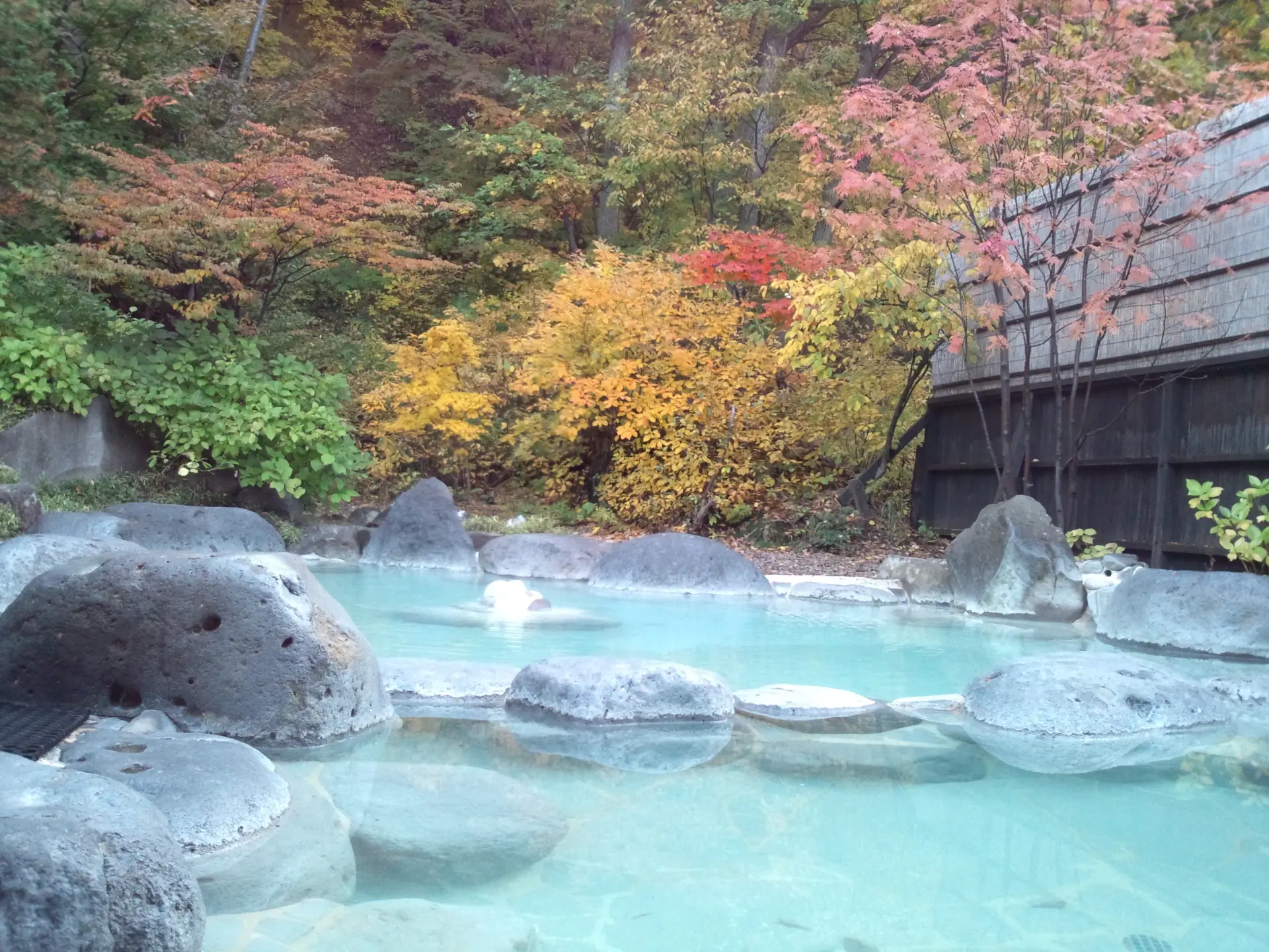 名湯・蔵王温泉の湯を、日帰りで満喫