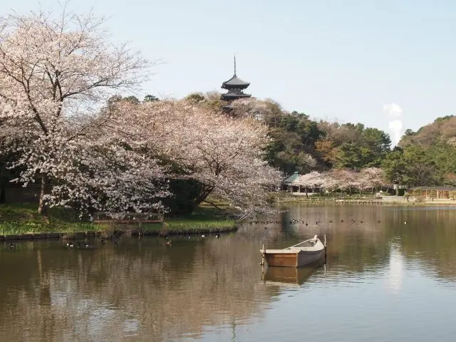 将四季更迭的大自然景观与日本古建筑完美结合的日式庭园